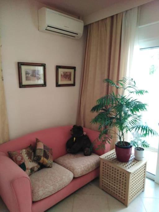 Annitas Luxury Oasis Appartment Atenas Exterior foto