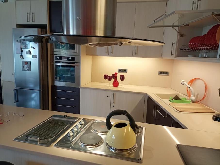Annitas Luxury Oasis Appartment Atenas Exterior foto