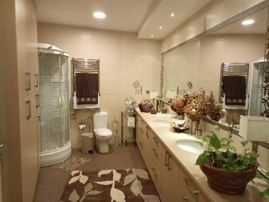Annitas Luxury Oasis Appartment Atenas Exterior foto