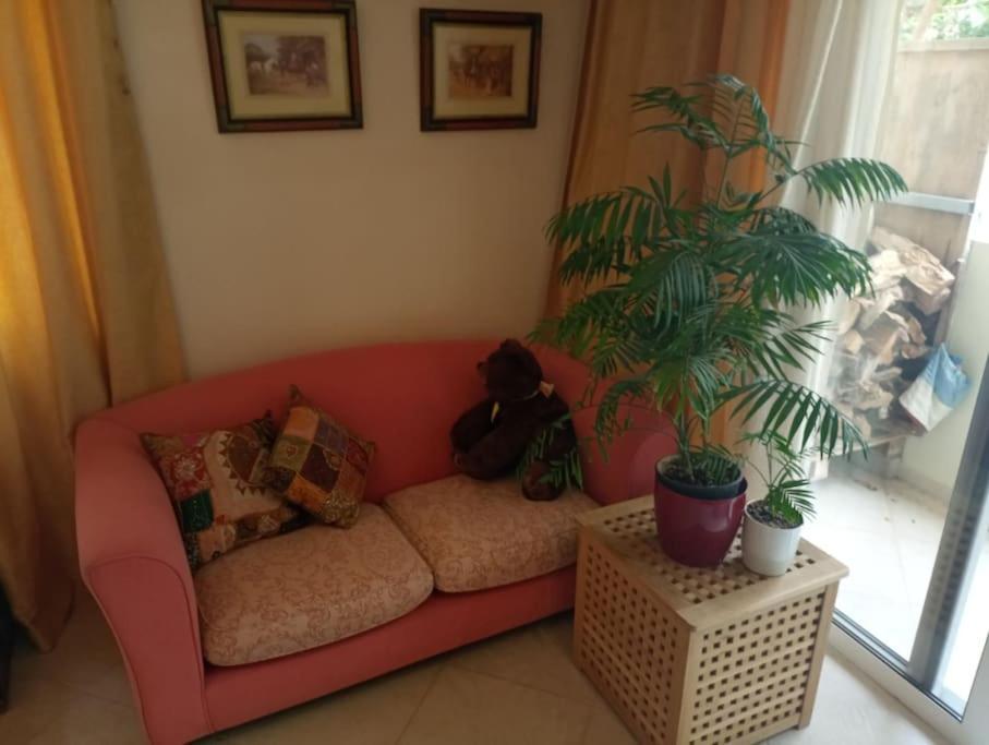 Annitas Luxury Oasis Appartment Atenas Exterior foto